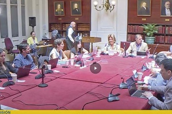 Comité de expertos entrega tres propuestas para reemplazar las Coeva en reforma al SEIA