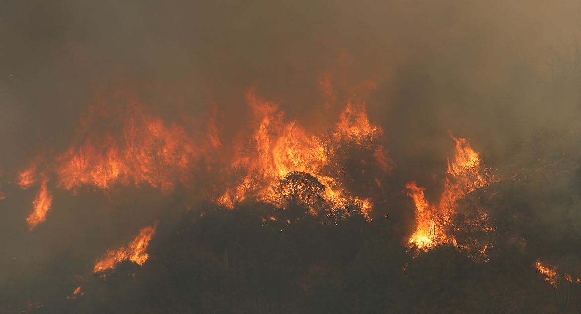 Valparaíso, O’Higgins y Metropolitana: las regiones que más peligran por incendios forestales