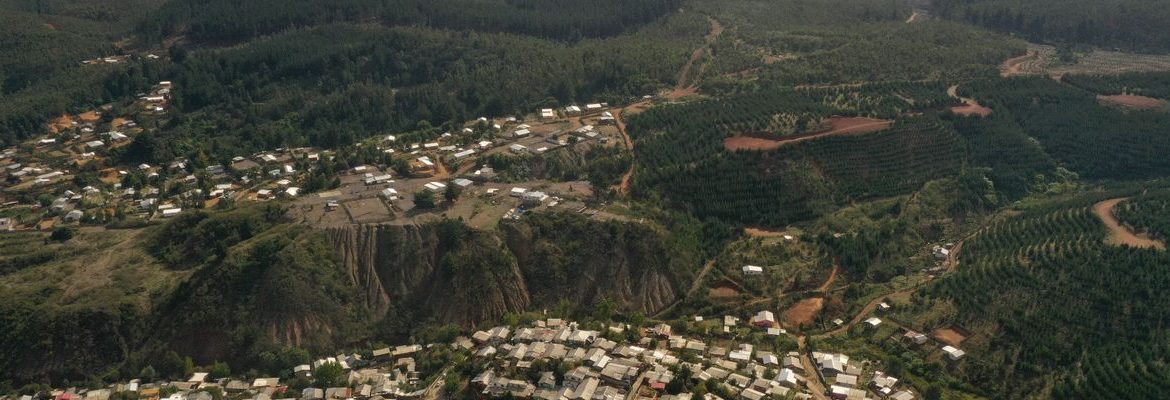La Batalla de Curanilahue: Vivienda versus Plantaciones Forestales
