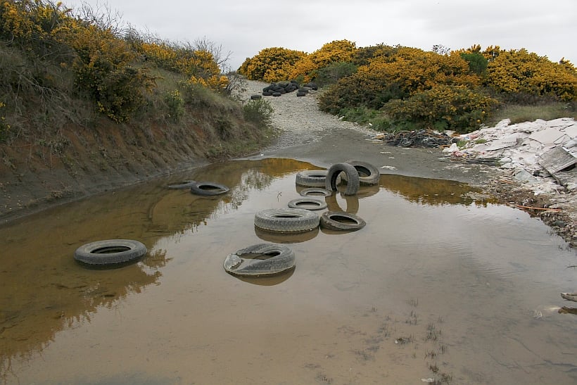 Advierten riesgo por microbasural en el humedal Llantén de Puerto Montt