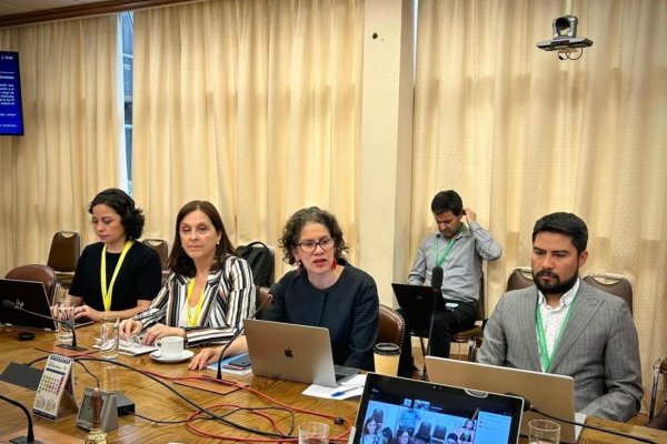 Comisión de Medio Ambiente de la Cámara de Diputados despacha reforma a la SMA y avanza a Hacienda