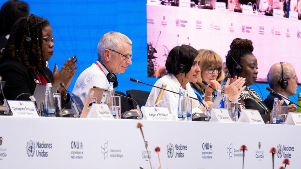 COP16 terminó sin acuerdo de financiación del plan para salvar la naturaleza