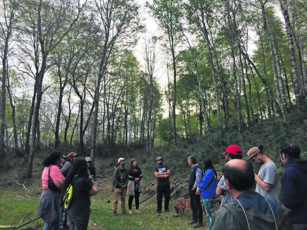 Crean plan de gobernanza y gestión para conservar la Cordillera de Nahuelbuta