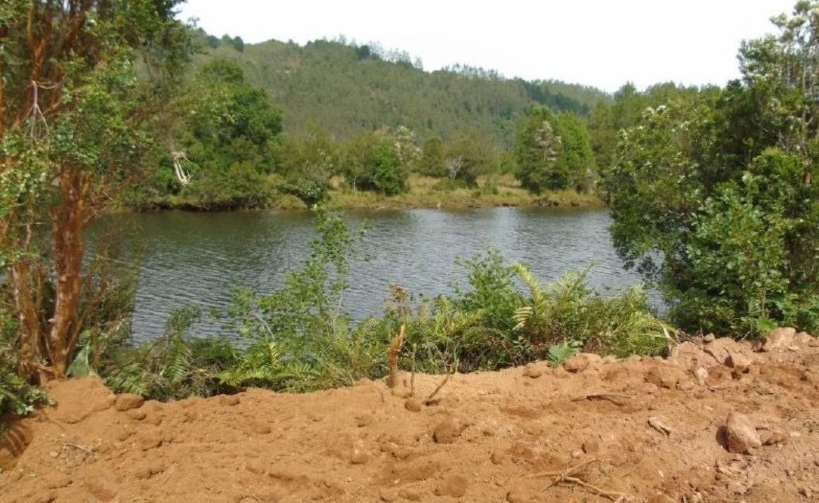 Revelan grave daño ambiental a humedal prioritario en la Región de Los Ríos
