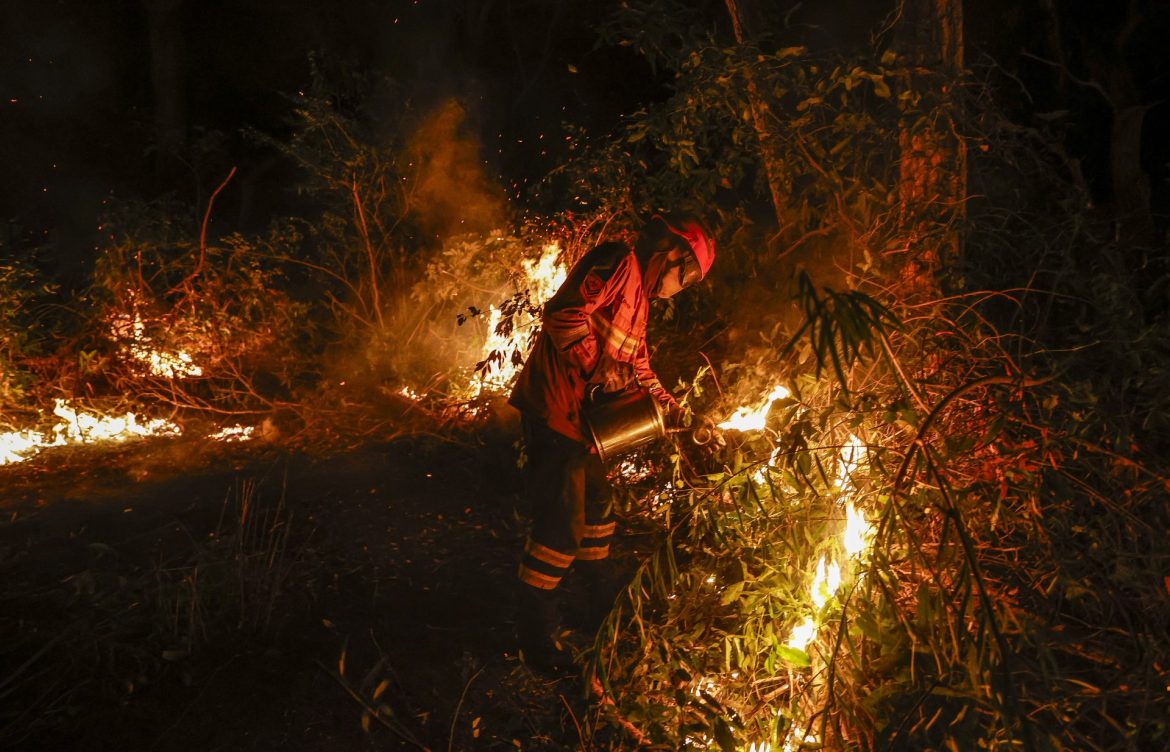 América registró incendios forestales especialmente intensos en 2024, según Copernicus