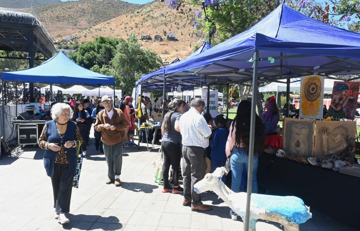 Feria Ambiental «Por un Cabildo Sustentable» reunió a la comunidad en torno a la conservación del medio ambiente