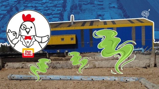 Impacto ambiental en La Pintana: Contaminación en canal de riego y olores pestilentes llevan a millonaria sanción contra Don Pollo