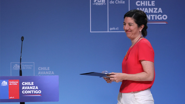 Gobierno mira a Contraloría por conformación del Comité de Ministros en horas clave para el futuro de Dominga
