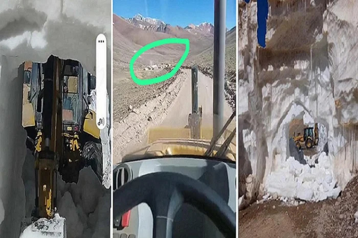 Seremi de Medio Ambiente presentó denuncias por destrucción de glaciares y criósfera en naciente del río Huasco