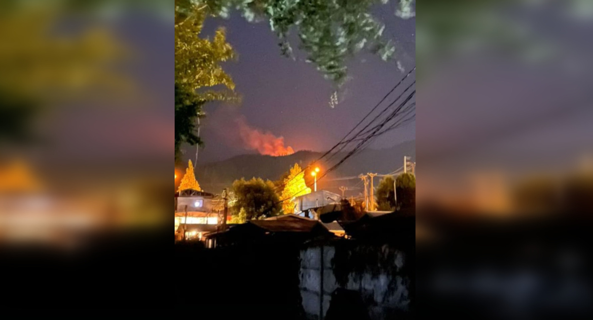 Declaran Alerta Roja para Chiguayante por incendio forestal en cercanías de Parque Nacional Nonguén