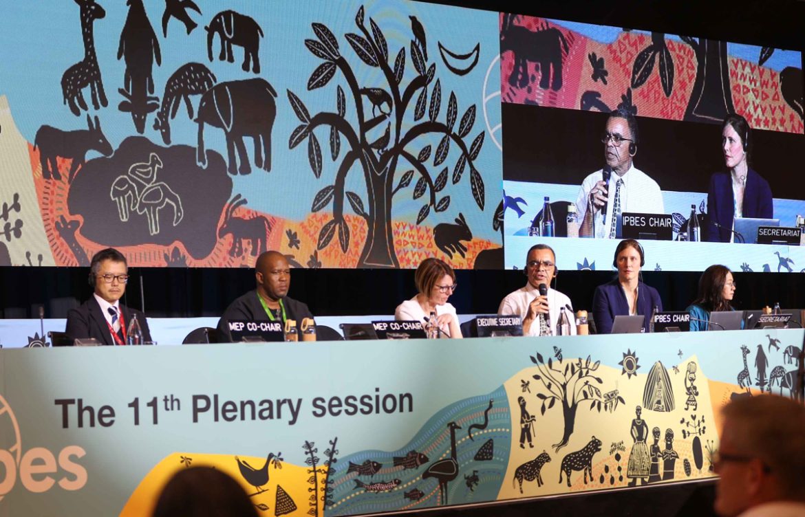 Científicos del IPBES piden un cambio transformador urgente para salvar biodiversidad en la Tierra