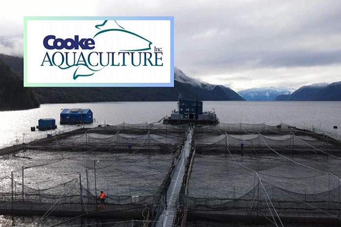 Detienen operaciones de salmonera en parque nacional tras graves infracciones ambientales: Transnacional en picada contra el Gobierno