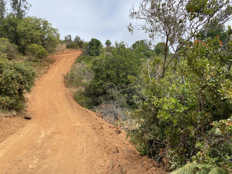 SMA ordena medidas urgentes y transitorias contra Casablanca Transmisora de Energía por posible afectación a bosque nativo
