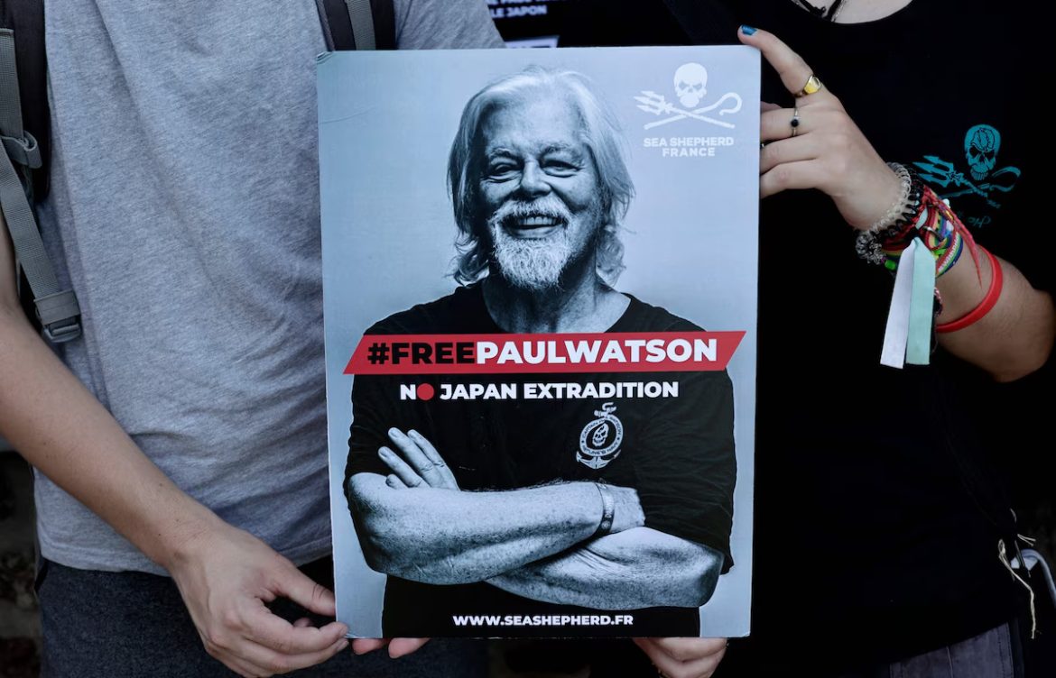 “Paul Watson es libre”: aseguran liberación del activista defensor de ballenas