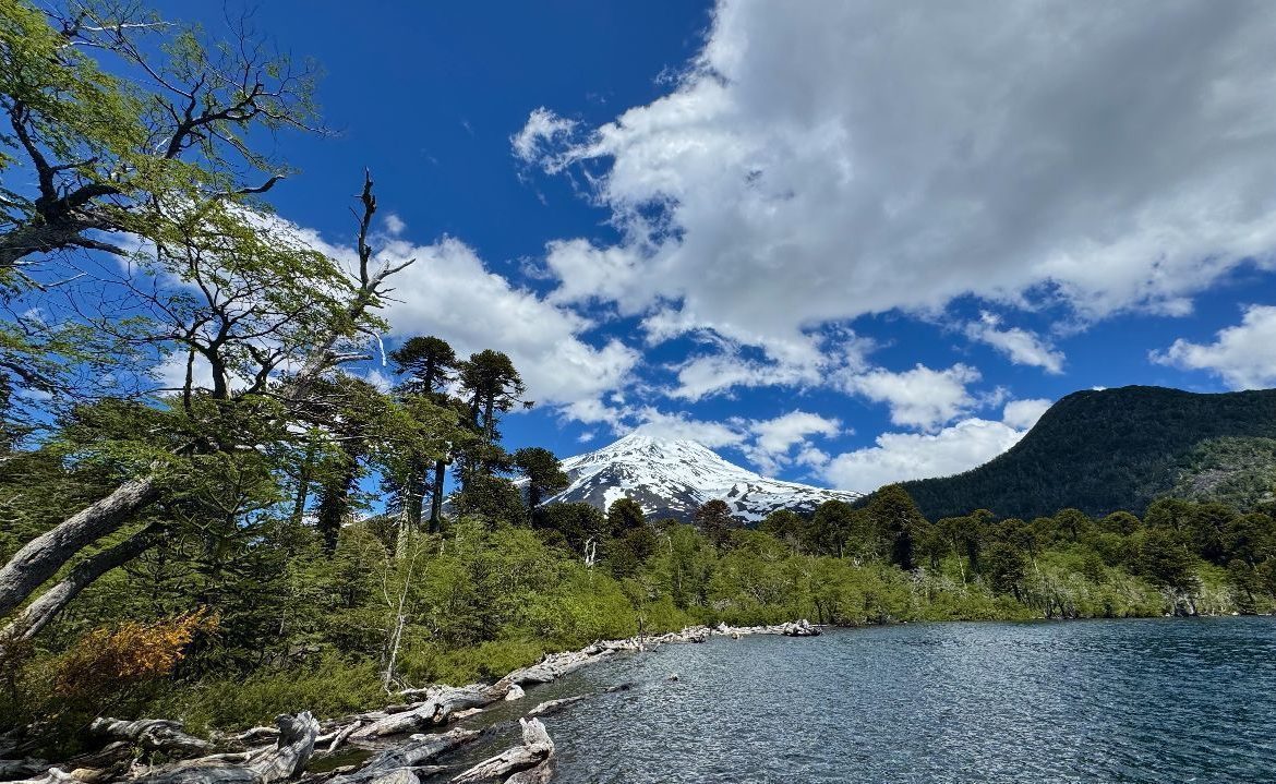 Hito para las comunidades mapuche: crean consejo de cogobernanza y gestión del Parque Nacional Villarrica