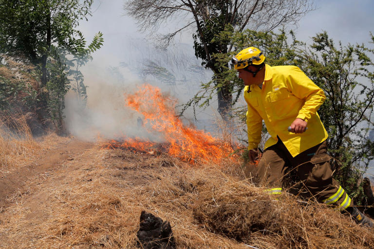 Decretan Alerta Roja para Ancud por incendio forestal que quemó ya 10 hectáreas en Taiquemó
