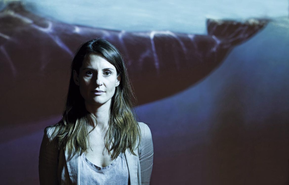 Susannah Buchan: La oceanógrafa que lucha para proteger a las ballenas