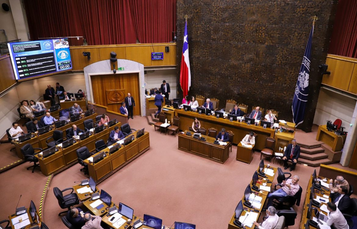 En votación unánime: sala del Senado aprueba proyecto de ley que crea el Servicio Nacional Forestal