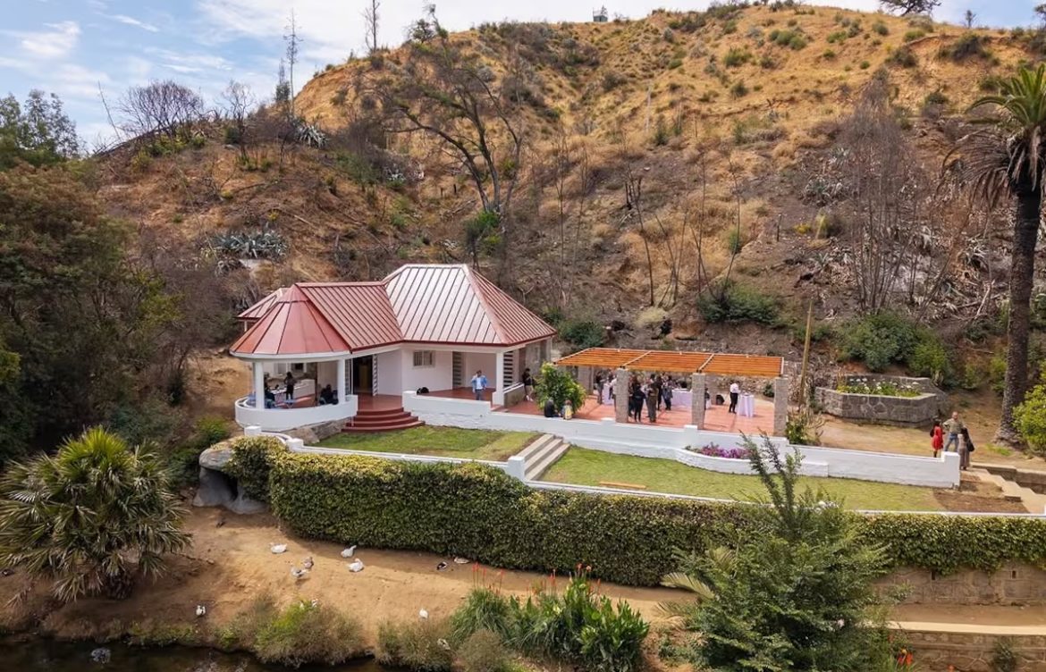 El rebrote del Jardín Botánico de Viña del Mar, a un año del megaincendio en Chile