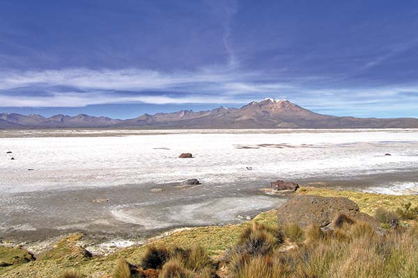 Tribunal Ambiental extiende en cinco meses plazo para que Quiborax opere en Salar de Surire