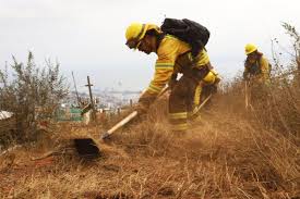Conaf advierte alto riesgo de incendios este domingo, con “evento inédito” de altas temperaturas y fuertes vientos de Valparaíso a La Araucanía