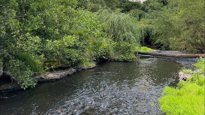 Vecinos piden respuestas a denuncias por afectación de cauce del río Chifín