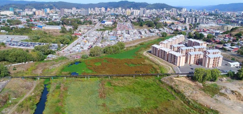 Proyecto inmobiliario en Humedal Paicaví ingresó al Servicio de Evaluación Ambiental: 30 días para solicitar consulta ciudadana