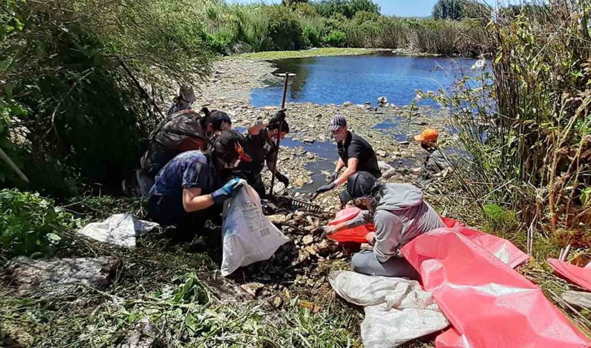 Proyecto GEF Humedales Costeros llega a su fin tras cinco años de trabajo