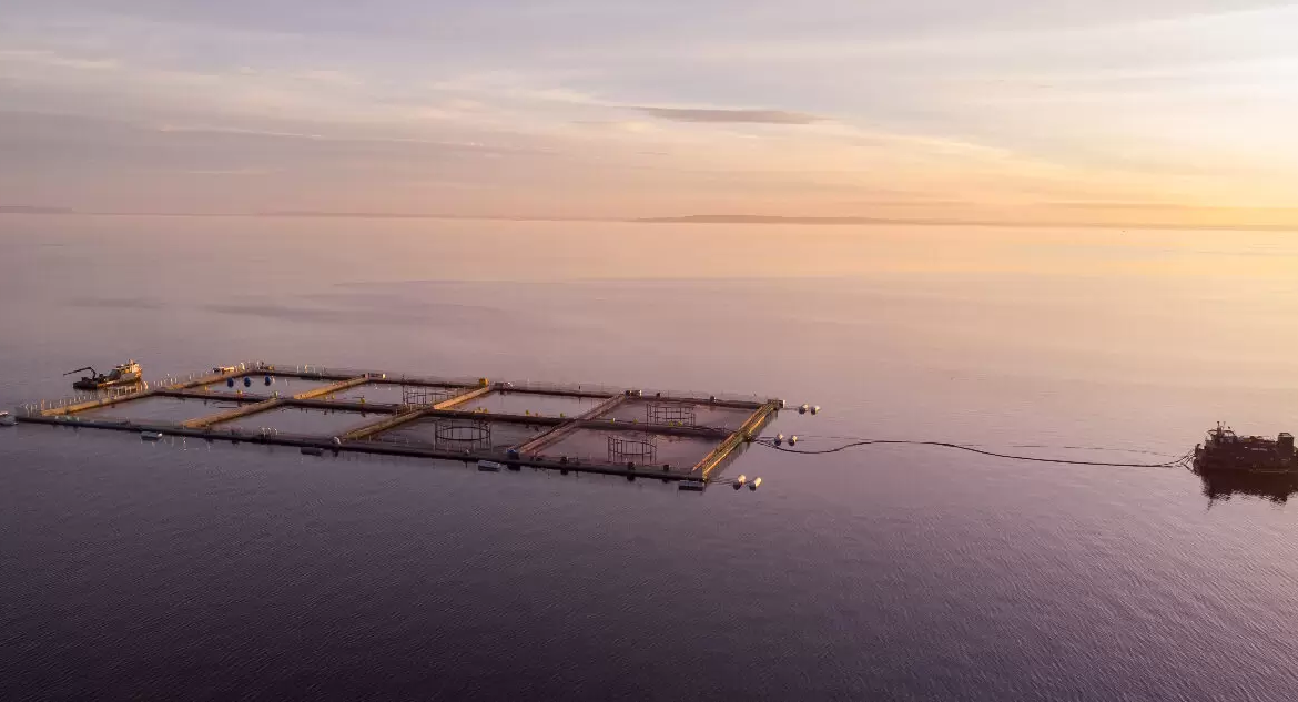 Formalización por sobreproducción salmonera: Australis y el daño ambiental en reservas nacionales