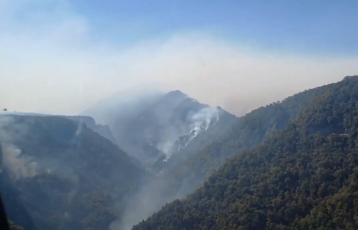 Vecinos de Ñuble acusan que traba normativa retrasó protección de huemul y bosque nativo ante incendio forestal
