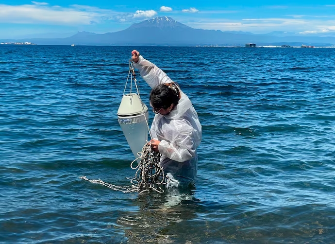 “Es preocupante”: estudio alerta sobre altos niveles de contaminación en el lago Llanquihue