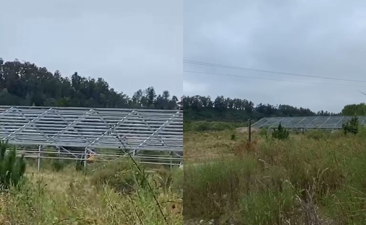 Tras denuncia: municipio de Los Lagos notifica a salmonera de resolución para detener obras