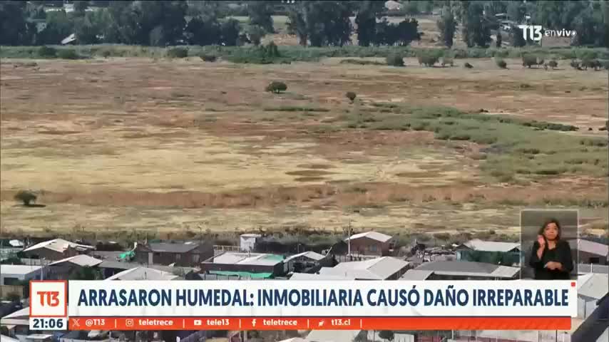 Arrasaron humedal: inmobiliaria causó daño irreparable