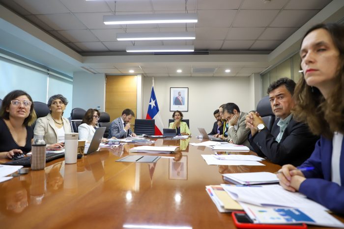 Comité de Ministros recurre al TC por fallo que ordena votar nuevamente proyecto Dominga