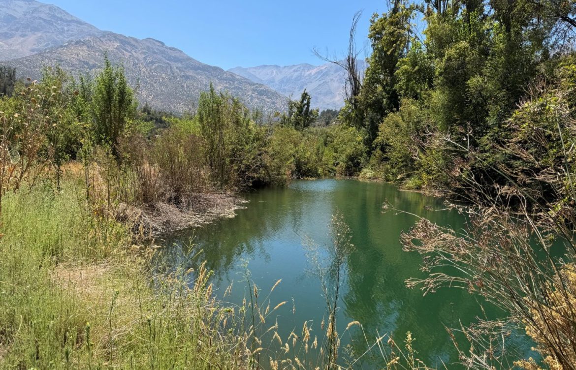 A mixta proyecto que crea nuevo Servicio Nacional Forestal
