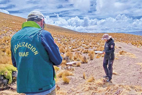 Conaf responde a críticas por evaluación de proyectos de inversión y detalla las debilidades de privados