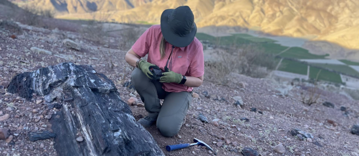 Estudio: fósiles de plantas de Atacama y Antártica revelan una historia y destino en común