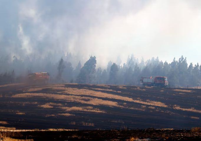 Incendio en Traiguén ha consumido más de 3 mil hectáreas y ha dejado 19 viviendas destruidas