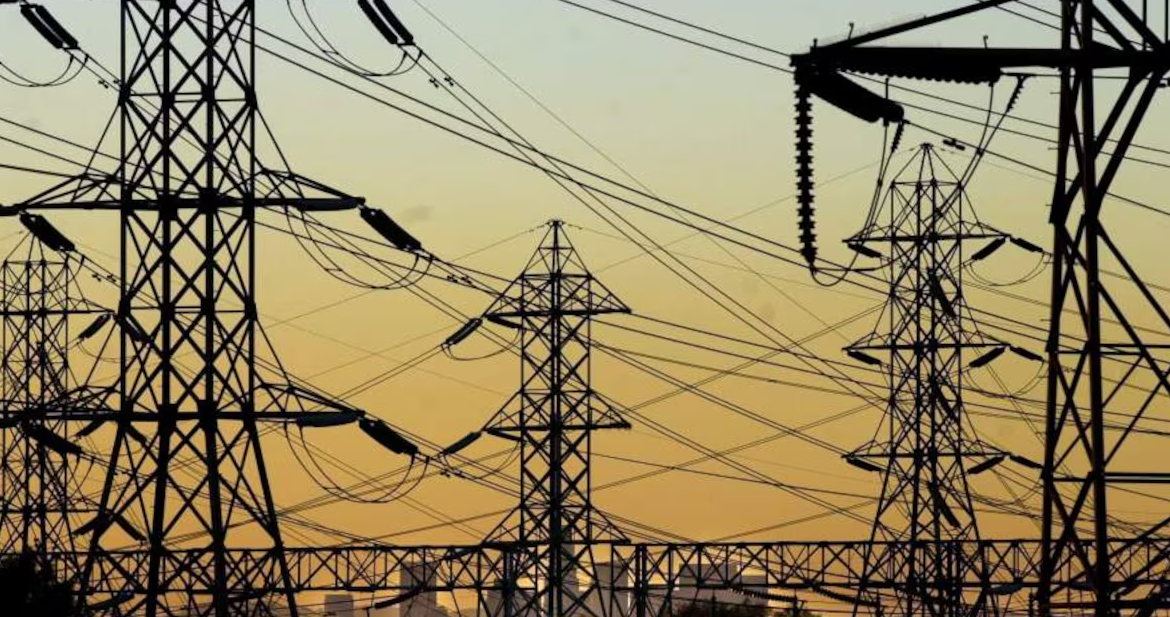 Segundo mayor proyecto de transmisión eléctrica del país enfrenta críticas por impacto a anfibios y bosque nativo
