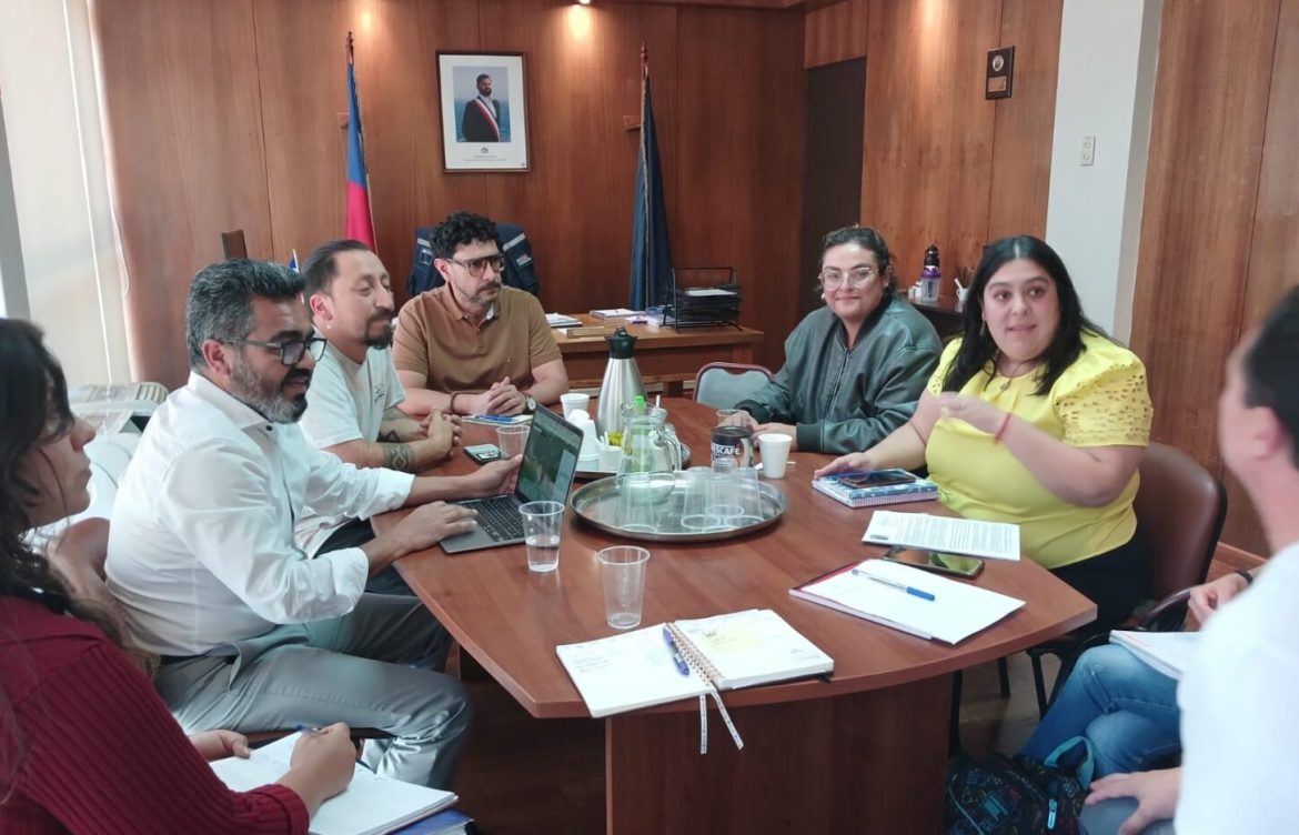 Seremi del Medio Ambiente avanza en medidas para la gestión de suelos contaminados en la región de Valparaíso