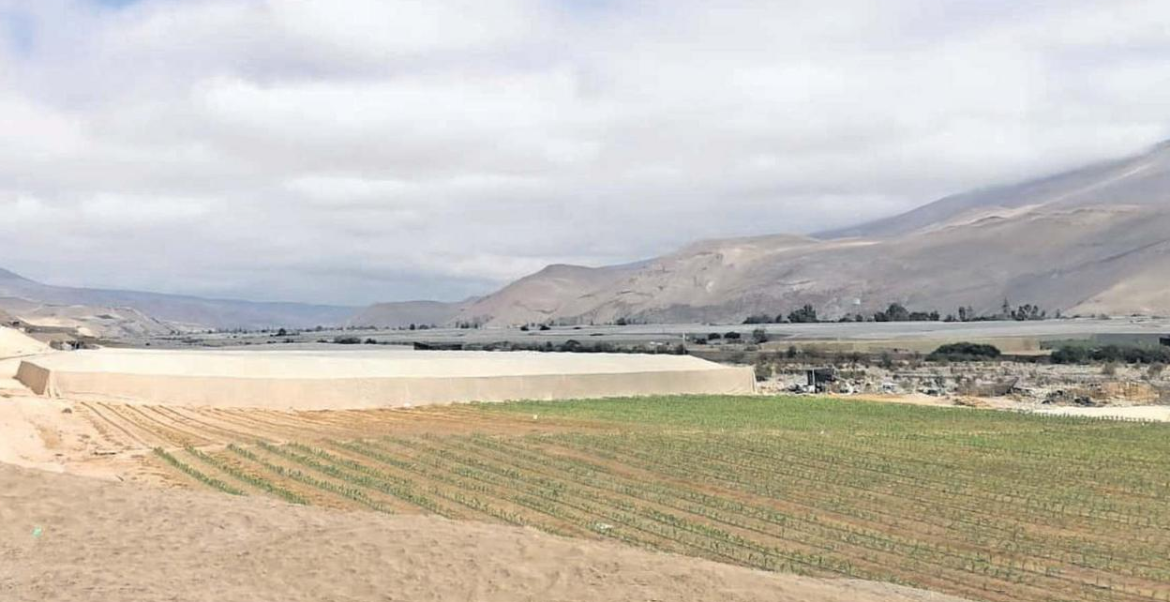 Estación piloto permitirá medir gases de efecto invernadero en el Valle de Azapa