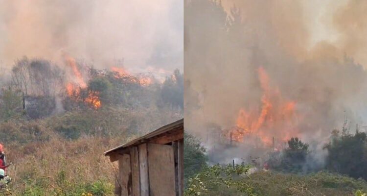 Declaran Alerta Roja en el Bío Bío por al menos siete incendios forestales en combate