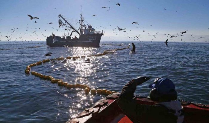 Acusan a la pesca industrial de oponerse a los intereses de Chile en crucial cita internacional