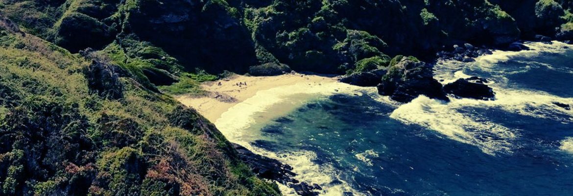 Municipalidad y organización ambiental solicitan al Estado comprar terrenos de Santuario de la naturaleza de Hualpén puestos a la venta