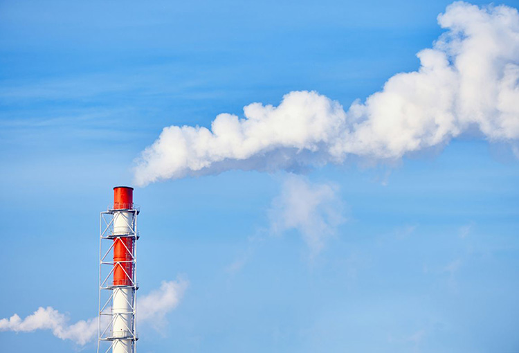 Sistema de Compensación de Emisiones redujo 4,4 millones de toneladas de CO2 en 2024