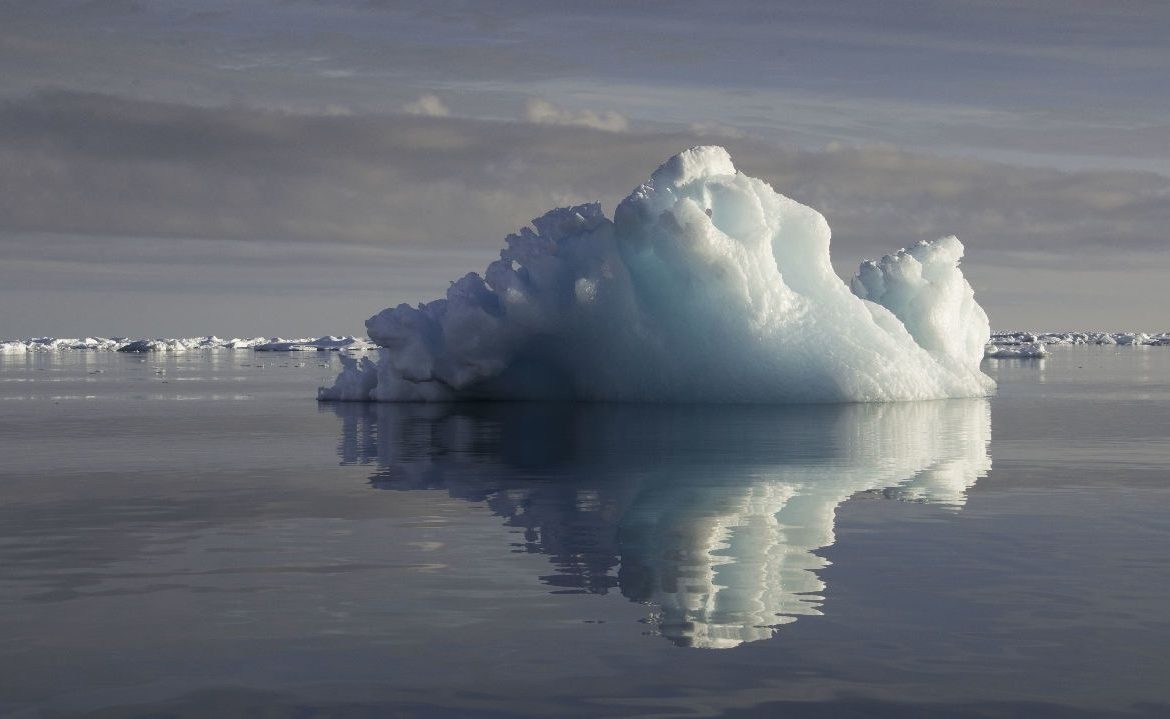 Científicos detectan contaminantes tóxicos en microorganismos de la Antártica