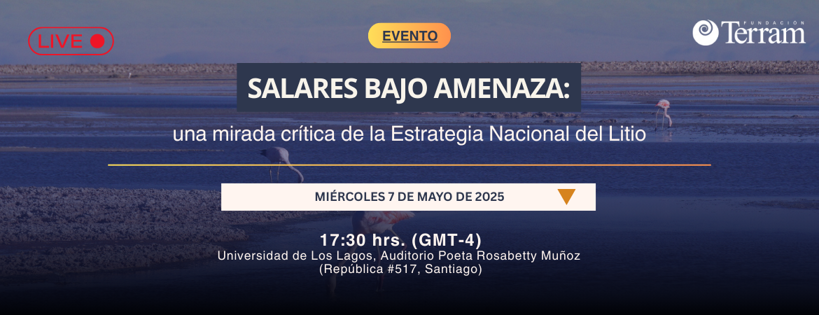 Fundación Terram invita al evento “Salares bajo amenaza: una mirada crítica de la Estrategia Nacional del Litio”