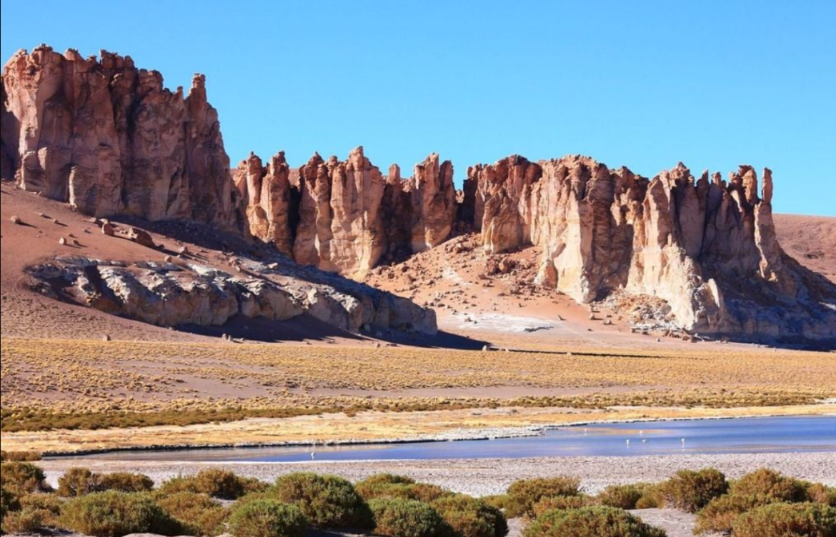 Chile pone en marcha su mayor apuesta ambiental con la implementación del Servicio de Biodiversidad y Áreas Protegidas
