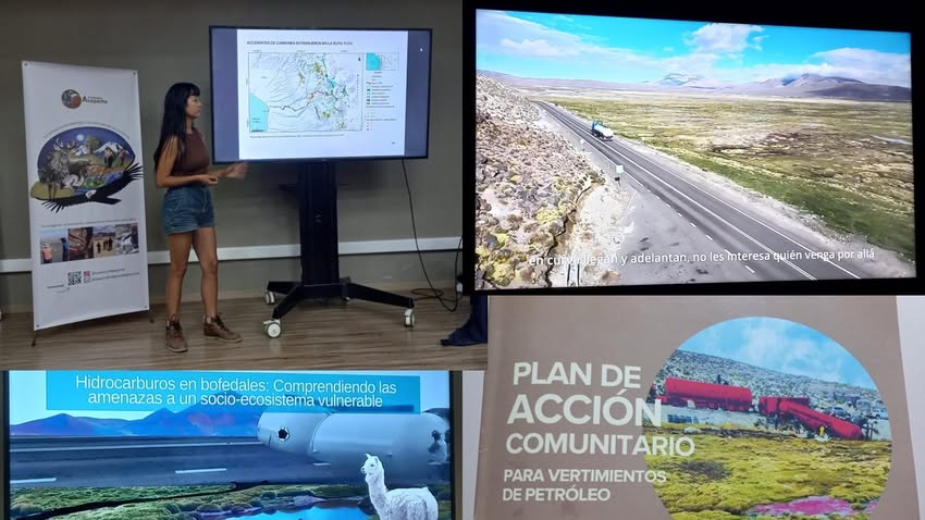 Derrame de petróleo en territorio aymara: proponen plan de acción comunitaria y difunden video denuncia