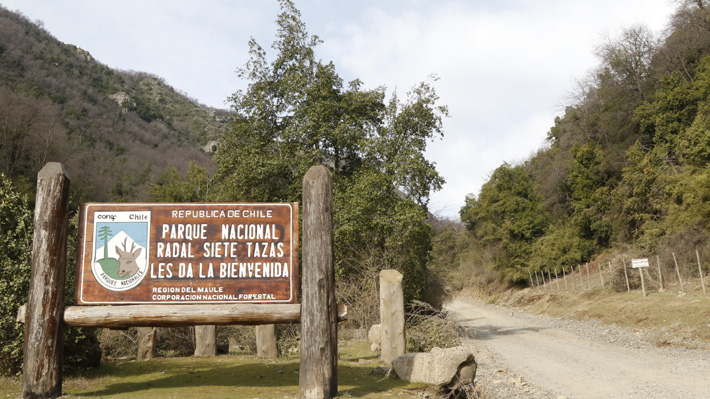 SMA activa alarma por proyecto inmobiliario emplazado entre parques nacionales del Maule